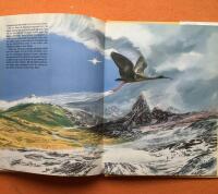 Krigare, gudar & andar fr&aring;n de central- och sydamerikanska indianernas mytologi