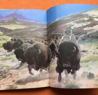 Andar, hj&auml;ltar & j&auml;gare fr&aring;n de nordamerikanska indianernas mytologi