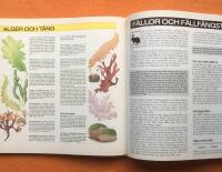 &Ouml;verlevnadshandboken