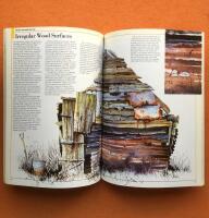 Watercolor Painting Techniques