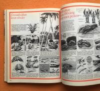 Naturens under : [djurens fantastiska v&auml;rld i teckningar och text]