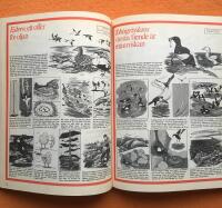 Naturens under : [djurens fantastiska v&auml;rld i teckningar och text]