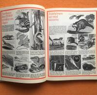 Naturens under : [djurens fantastiska v&auml;rld i teckningar och text]