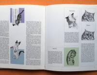 V&aring;r v&auml;n katten