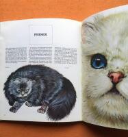 V&aring;r v&auml;n katten