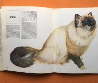 V&aring;r v&auml;n katten