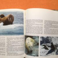 Fr&auml;mmande och f&ouml;rbjudna v&auml;rldar