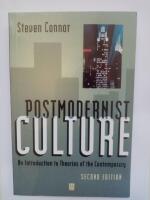 Postmodernist culture - an introduction to theories of the contemporary