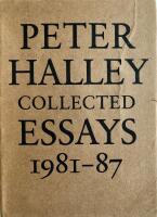 Peter Halley Collected Essays 1981-87