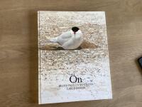 &Ouml;n : bilder fr&aring;n en sandrevel