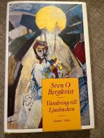 Vandring till Ljusbacken : roman