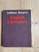 English literature : a survey for students