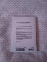 Den svenska ungdomsbrottsligheten