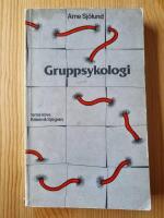 Gruppsykologi