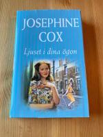 Ljuset i dina &ouml;gon : roman