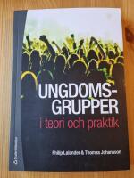 Ungdomsgrupper i teori och praktik