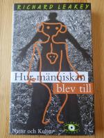 Hur m&auml;nniskan blev till