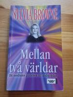 Mellan tv&aring; v&auml;rldar Ett mediums guidebok till andra sidan