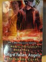 City of Fallen Angels