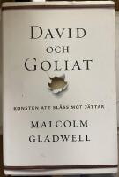 David och Goliat : konsten att sl&aring;ss mot j&auml;ttar