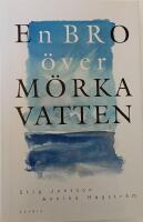 En bro &ouml;ver m&ouml;rka vatten : om m&auml;nniskorna bakom rubrikerna