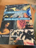 &Auml;ngel bland skuggor : roman