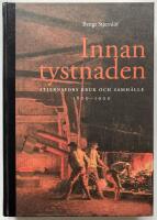 Innan tystnaden : Stjernsfors bruk och samh&auml;lle 1800-1900