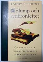 Slump och synkronicitet : Om meningsfulla sammantr&auml;ffanden i v&aring;ra livshistorier