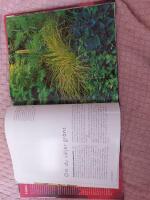 F&auml;rg & design : att skapa med f&auml;rg i tr&auml;dg&aring;rden