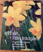 Ett &aring;r i din tr&auml;dg&aring;rd
