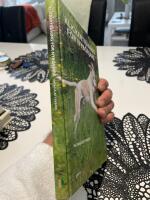 Klickertr&auml;ning f&ouml;r nyb&ouml;rjare