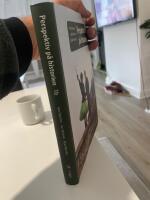 Perspektiv p&aring; historien 1 b