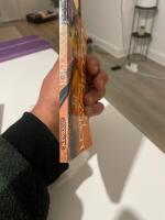 Ugglor i solsken : en roman om maffian