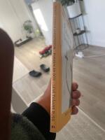 Punken &auml;r d&ouml;d, leve tv&aring;ans buss : dikter