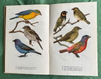 Burf&aring;glar i f&auml;rg