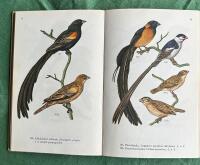 Burf&aring;glar i f&auml;rg