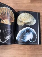 Piercing the surface - X-rays of nature