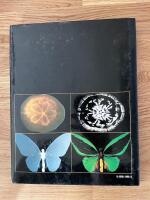 Piercing the surface - X-rays of nature