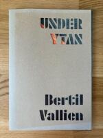 Under ytan : Bertil Vallien