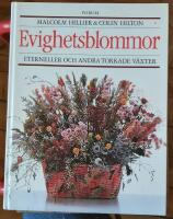 Evighetsblommor