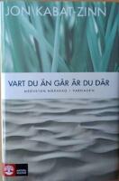 Vart du &auml;n g&aring;r &auml;r du d&auml;r : medveten n&auml;rvaro i vardagen