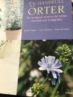 En handfull &ouml;rter
