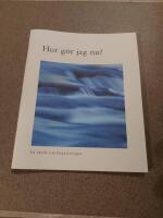 Hur g&ouml;r jag nu? : en skrift om begravningar