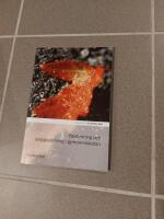 Bed&ouml;mning och betygss&auml;ttning i gymnasieskolan