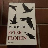 Efter floden : roman