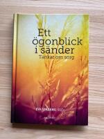Ett &ouml;gonblick i s&auml;nder : tankar om sorg
