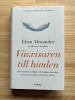 V&auml;gvisaren till himlen : hur vetenskap, religion och vanliga m&auml;nniskor p&aring;visar att det finns ett liv efter d&ouml;den