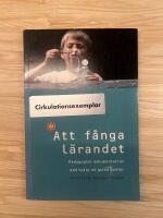 Att f&aring;nga l&auml;randet - Pedagogisk dokumentation med hj&auml;lp av olika medier