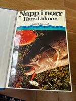 Napp i norr