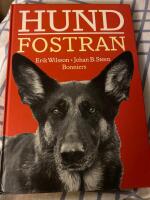 Hundfostran